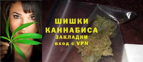 шишки Белоозёрский