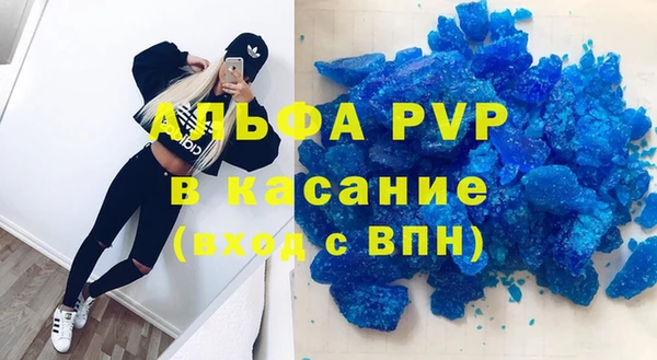 шишки Белоозёрский