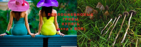 трава Богданович
