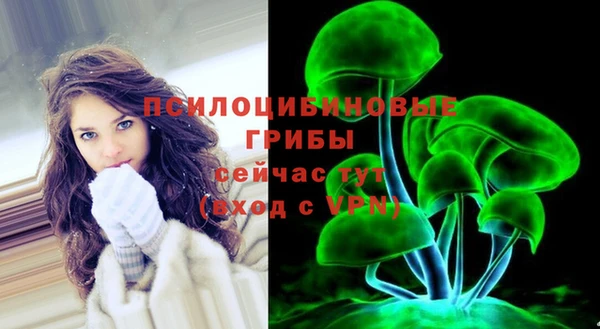 спиды Белокуриха
